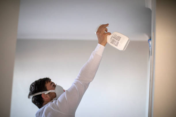 Holloman Af, NM Mold Removal Company