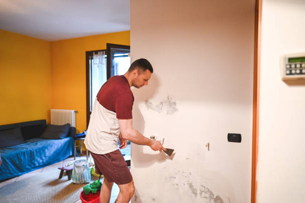 Best Mold Removal Company Near Me  in Holloman Af, NM